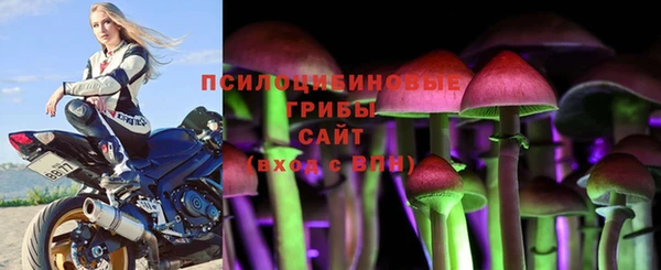 герыч Майский