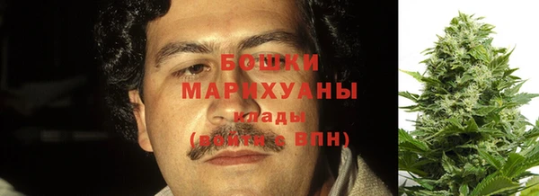 тгк Ладушкин