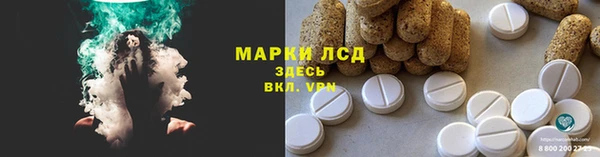 спиды Магас