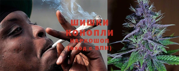 спиды Магас