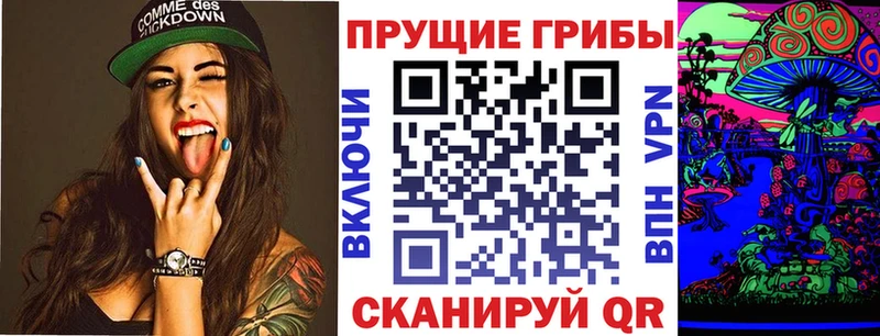 где продают наркотики  Цоци-Юрт  Галлюциногенные грибы Psilocybine cubensis 