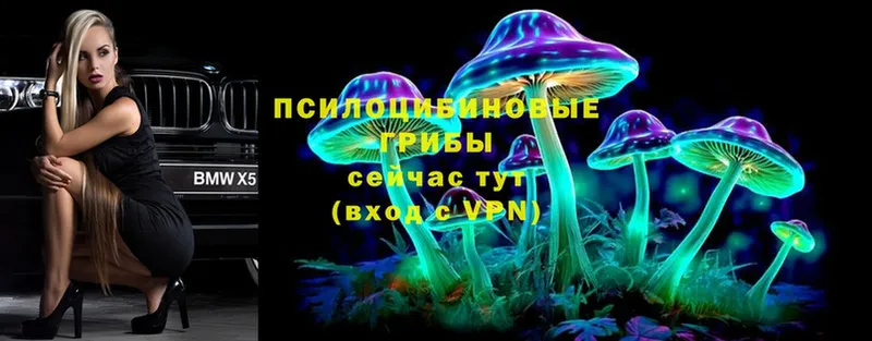 Псилоцибиновые грибы мухоморы  Цоци-Юрт 