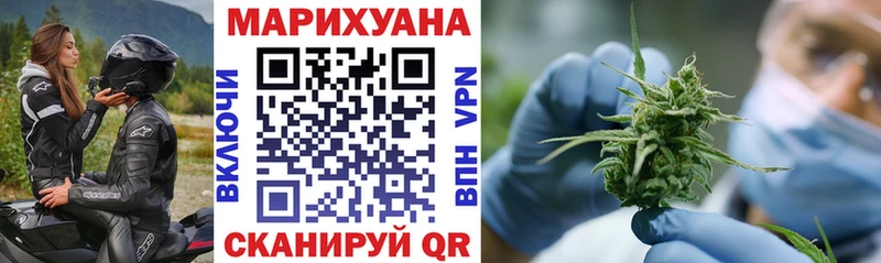 Каннабис гибрид Цоци-Юрт